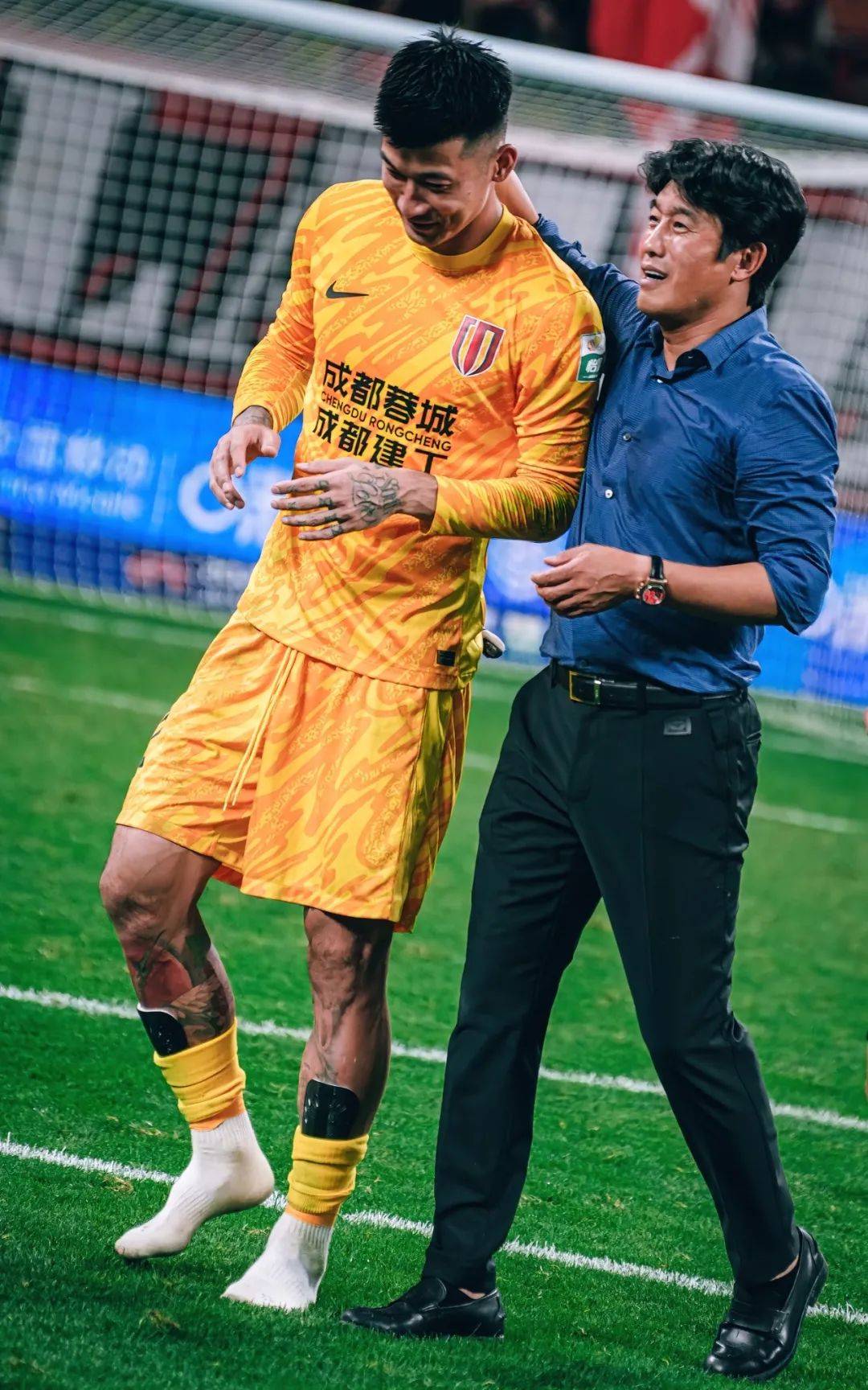 范尼的责任 范尼的责任