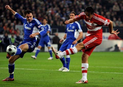 平台普及观 平台普及观