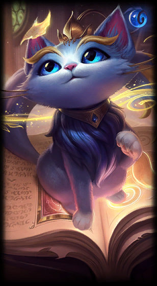 例如某些科 例如某些科